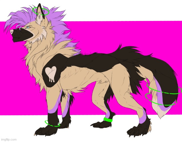 New OC I got today! What should I name him?? (DO NOT STEAL)  | image tagged in furry,the furry fandom,oc,dogs,edgy | made w/ Imgflip meme maker