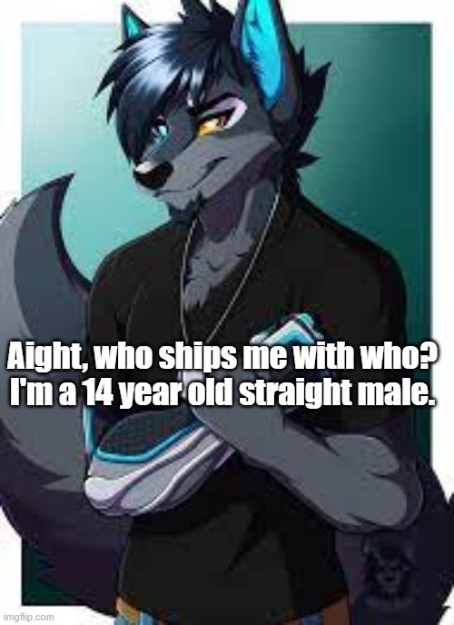 Hehe | Aight, who ships me with who? I'm a 14 year old straight male. | image tagged in wolf's announcement template | made w/ Imgflip meme maker