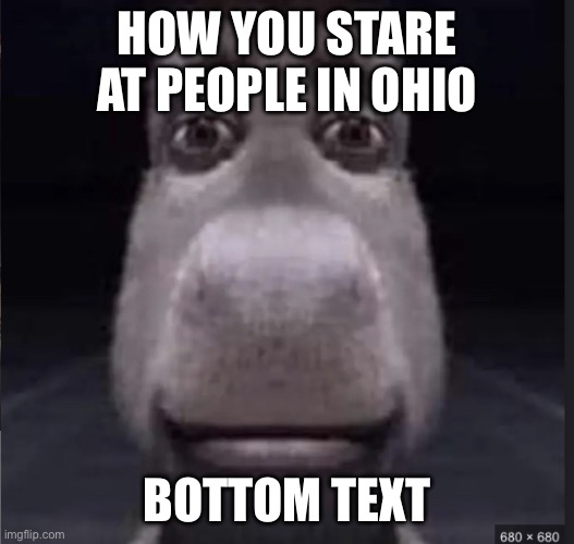 donke | HOW YOU STARE AT PEOPLE IN OHIO; BOTTOM TEXT | image tagged in donke | made w/ Imgflip meme maker