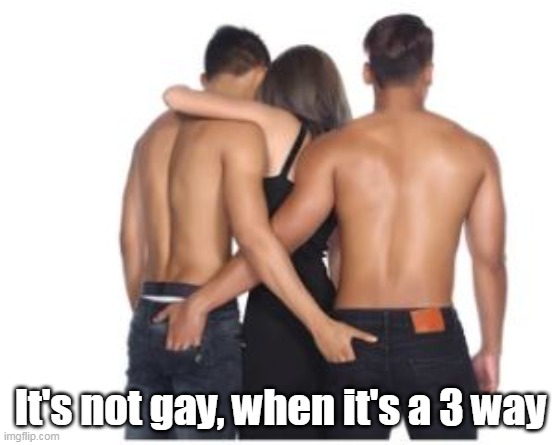 It's not gay, when it's a 3 way | made w/ Imgflip meme maker