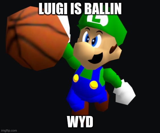 Luigi Ballin | LUIGI IS BALLIN; WYD | image tagged in luigi ballin | made w/ Imgflip meme maker