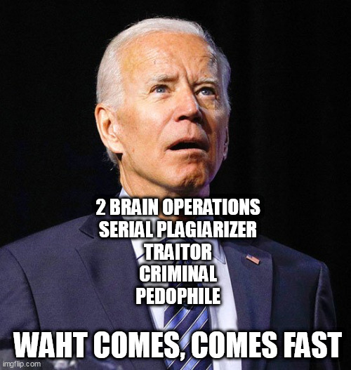 Joe Biden | 2 BRAIN OPERATIONS
SERIAL PLAGIARIZER
TRAITOR
CRIMINAL
PEDOPHILE; WAHT COMES, COMES FAST | image tagged in joe biden | made w/ Imgflip meme maker