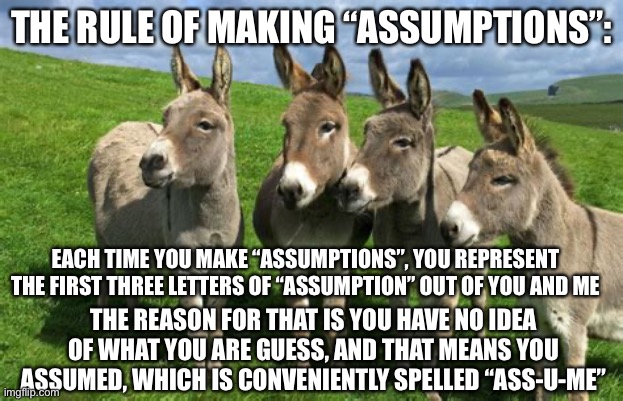 Assumptions | THE RULE OF MAKING “ASSUMPTIONS”:; EACH TIME YOU MAKE “ASSUMPTIONS”, YOU REPRESENT THE FIRST THREE LETTERS OF “ASSUMPTION” OUT OF YOU AND ME; THE REASON FOR THAT IS YOU HAVE NO IDEA OF WHAT YOU ARE GUESS, AND THAT MEANS YOU ASSUMED, WHICH IS CONVENIENTLY SPELLED “ASS-U-ME” | image tagged in donkeys | made w/ Imgflip meme maker