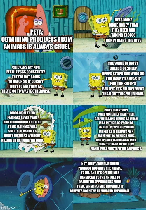 PETA logic | BEES MAKE MORE HONEY THAN THEY NEED AND TAKING EXCESS HONEY HELPS THE HIVE; PETA:
OBTAINING PRODUCTS FROM ANIMALS IS ALWAYS CRUEL; THE WOOL OF MOST BREEDS OF SHEEP NEVER STOPS GROWING SO YOU HAVE TO SHEAR IT FOR THE SHEEP’S BENEFIT. IT’S NO DIFFERENT THAN CUTTING YOUR HAIR. CHICKENS LAY NON FERTILE EGGS CONSTANTLY. THEY’RE NOT GOING TO HATCH SO IT DOESN’T HURT TO EAT THEM AS THEY’D GO TO WASTE OTHERWISE. COWS OFTENTIMES MORE MORE MILK THAN THEIR CALF NEEDS, AND HAVING SO MUCH MILK IN THEIR BODY CAN BE PAINFUL. COWS ENJOY BEING MILKED AS IT RELIEVES PAIN FROM HAVING SO MUCH MILK, AND IT’S NOT TAKING AWAY MILK FROM THE BABY AS THE COW MAKES MORE MILK THAN THE CALF NEEDS. BIRDS MOLT THEIR FEATHERS EVERY YEAR, AND THROUGHOUT THE YEAR THEIR FEATHERS WILL SHED. YOU CAN GET A BIRD’S FEATHERS WITHOUT KILLING OR HARMING THE BIRD. NOT EVERY ANIMAL RELATED PRODUCT REQUIRES THE ANIMAL TO DIE. AND IT’S OFTENTIMES BENEFICIAL TO THE ANIMAL TO OBTAIN THESE PRODUCTS FROM THEM. WHEN FARMED HUMANELY IT BENEFITS BOTH THE HUMAN AND THE ANIMAL. | image tagged in spongebob diapers meme | made w/ Imgflip meme maker