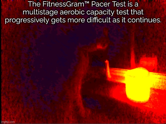 random images with gram pacer test pt 2 | The FitnessGram™ Pacer Test is a multistage aerobic capacity test that progressively gets more difficult as it continues. | image tagged in cat with candle | made w/ Imgflip meme maker