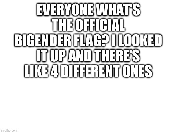 hElP | EVERYONE WHAT’S THE OFFICIAL BIGENDER FLAG? I LOOKED IT UP AND THERE’S LIKE 4 DIFFERENT ONES | image tagged in flags | made w/ Imgflip meme maker