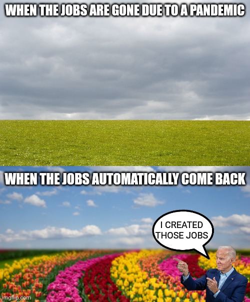 This is it essentially | WHEN THE JOBS ARE GONE DUE TO A PANDEMIC; WHEN THE JOBS AUTOMATICALLY COME BACK; I CREATED
THOSE JOBS | image tagged in empty field,tulips,democrats,pandemic,biden | made w/ Imgflip meme maker
