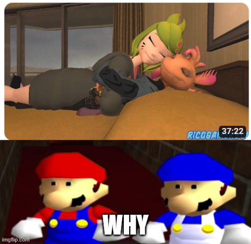Why? Just why? | WHY | image tagged in ayo thats kinda sus bro ngl,smg4 | made w/ Imgflip meme maker