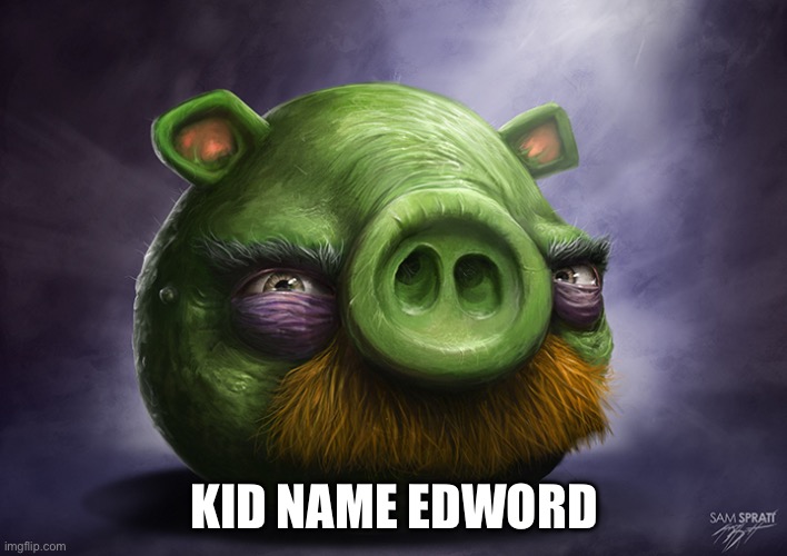 Realistic angry birds | KID NAME EDWORD | image tagged in realistic angry birds | made w/ Imgflip meme maker