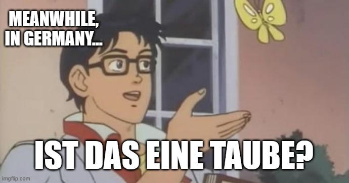 Comment if you speak another language! | MEANWHILE, IN GERMANY... IST DAS EINE TAUBE? | image tagged in is this a pigeon | made w/ Imgflip meme maker