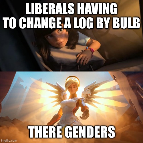 Overwatch Mercy Meme | LIBERALS HAVING TO CHANGE A LOG BY BULB THERE GENDERS | image tagged in overwatch mercy meme | made w/ Imgflip meme maker