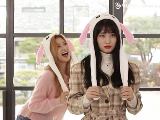 Twice Sana and Momo Blank Meme Template