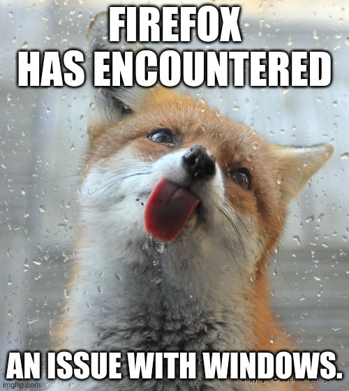 Fox licking glass | FIREFOX HAS ENCOUNTERED; AN ISSUE WITH WINDOWS. | image tagged in fox licking glass | made w/ Imgflip meme maker