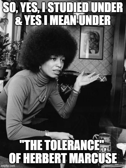 Angela Davis | SO, YES, I STUDIED UNDER
& YES I MEAN UNDER "THE TOLERANCE",
OF HERBERT MARCUSE | image tagged in angela davis | made w/ Imgflip meme maker