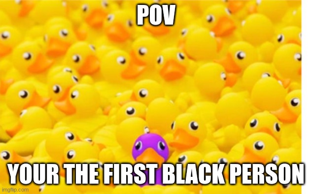 pov | POV; YOUR THE FIRST BLACK PERSON | image tagged in duck | made w/ Imgflip meme maker