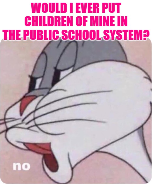 Public School? No. | WOULD I EVER PUT CHILDREN OF MINE IN THE PUBLIC SCHOOL SYSTEM? | image tagged in bugs bunny no,school,children,funny memes,lol | made w/ Imgflip meme maker