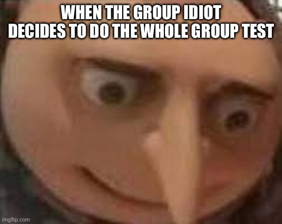 Gru Face | WHEN THE GROUP IDIOT DECIDES TO DO THE WHOLE GROUP TEST | image tagged in gru face | made w/ Imgflip meme maker
