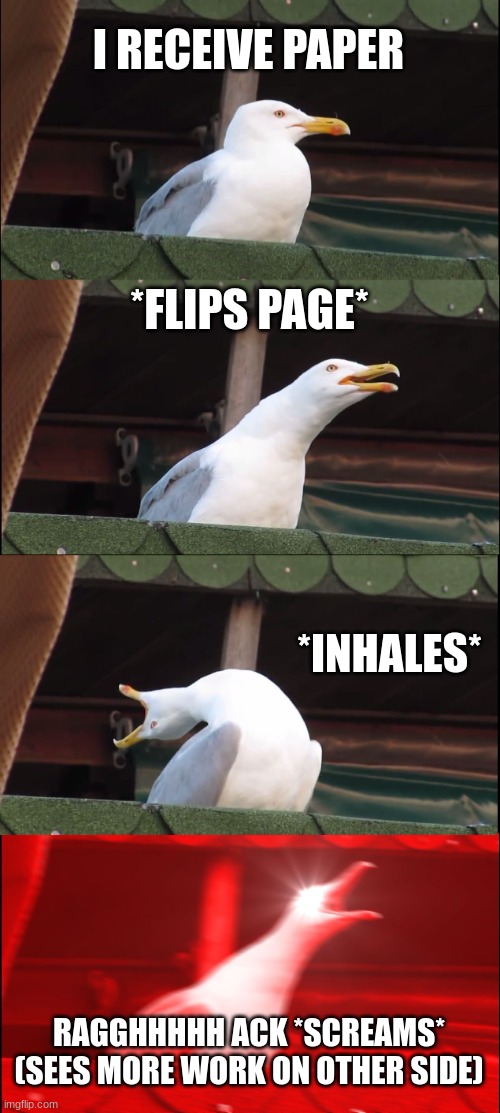 WE ALL FACE THIS | I RECEIVE PAPER; *FLIPS PAGE*; *INHALES*; RAGGHHHHH ACK *SCREAMS*
(SEES MORE WORK ON OTHER SIDE) | image tagged in memes,inhaling seagull | made w/ Imgflip meme maker