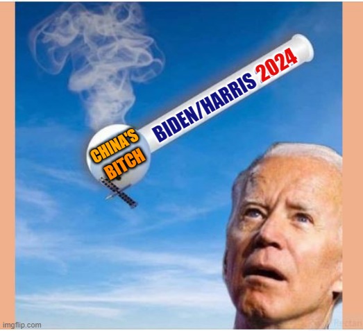 Biden China's ????? | 2024; BIDEN/HARRIS 2024; CHINA'S; BITCH | image tagged in biden crack pipe balloon | made w/ Imgflip meme maker