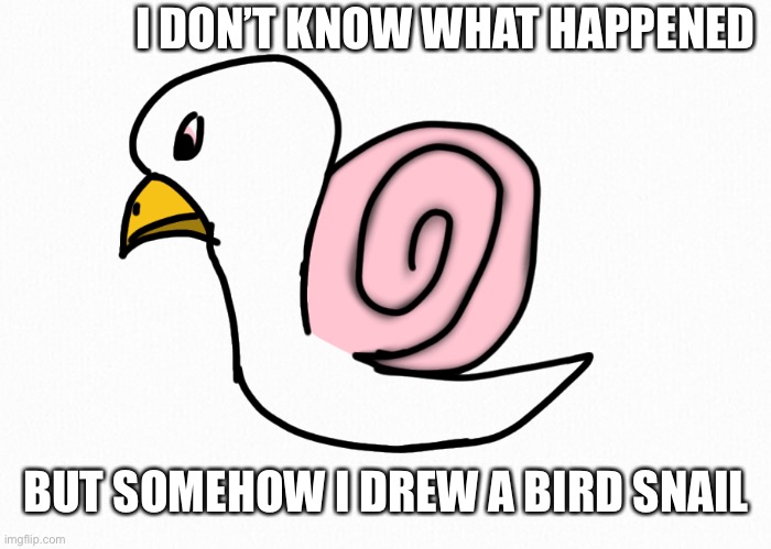 Why… | I DON’T KNOW WHAT HAPPENED; BUT SOMEHOW I DREW A BIRD SNAIL | image tagged in what is this,drawing,bird,snail | made w/ Imgflip meme maker