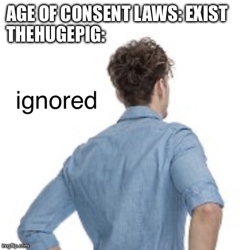 This template truly has infinite uses | AGE OF CONSENT LAWS: EXIST
THEHUGEPIG: | image tagged in ignored | made w/ Imgflip meme maker