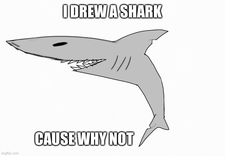 I DREW A SHARK; CAUSE WHY NOT | image tagged in shark | made w/ Imgflip meme maker