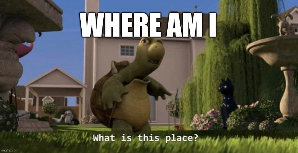 Seems pretty cool | WHERE AM I | image tagged in what is this place | made w/ Imgflip meme maker