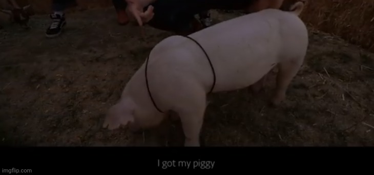 I got my piggy | image tagged in i got my piggy | made w/ Imgflip meme maker