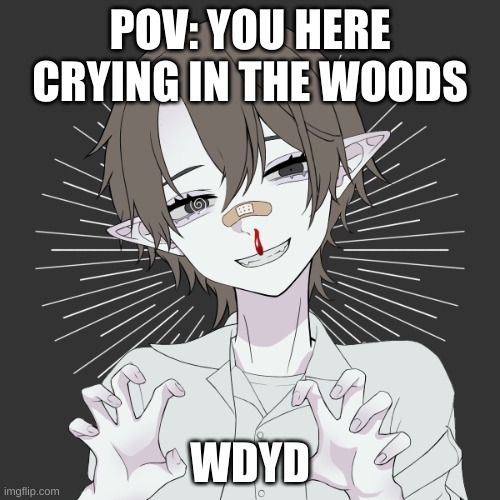 Romance, slight trolling-, no army/military. Also it'll make sense when we start so don't get the wrong idea | POV: YOU HERE CRYING IN THE WOODS; WDYD | made w/ Imgflip meme maker