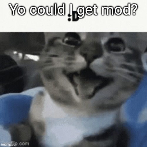 Yo could I get mod? | made w/ Imgflip meme maker