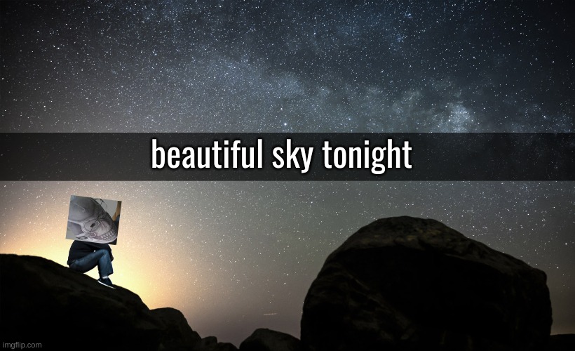 Live from hunger games | beautiful sky tonight | image tagged in starry night | made w/ Imgflip meme maker