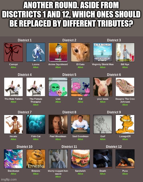 ANOTHER ROUND. ASIDE FROM DISCTRICTS 1 AND 12, WHICH ONES SHOULD BE REPLACED BY DIFFERENT TRIBUTES? | made w/ Imgflip meme maker