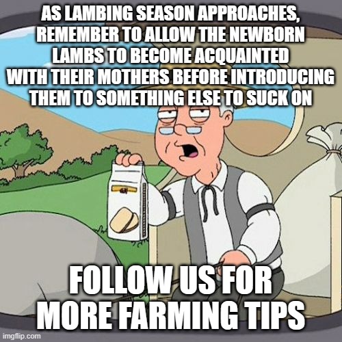Pepperidge Farm Remembers | AS LAMBING SEASON APPROACHES, REMEMBER TO ALLOW THE NEWBORN LAMBS TO BECOME ACQUAINTED WITH THEIR MOTHERS BEFORE INTRODUCING THEM TO SOMETHING ELSE TO SUCK ON; FOLLOW US FOR MORE FARMING TIPS | image tagged in memes,pepperidge farm remembers | made w/ Imgflip meme maker