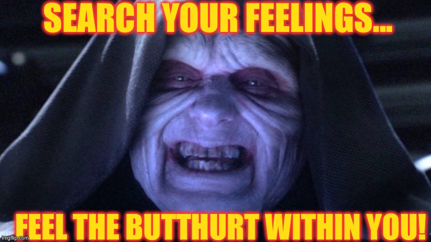 Search Your Butthurt Feelings |  SEARCH YOUR FEELINGS... FEEL THE BUTTHURT WITHIN YOU! | image tagged in butthurt,star wars,the emporer,palpatine,emporer palpatine | made w/ Imgflip meme maker