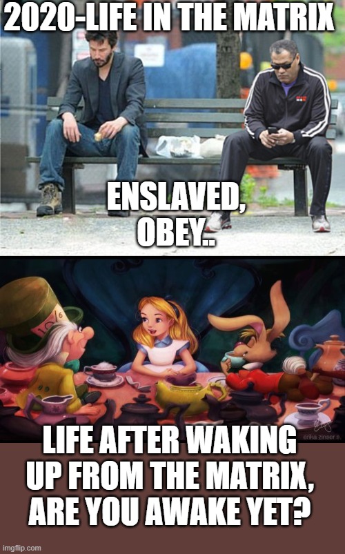 Waking up but not down! | 2020-LIFE IN THE MATRIX; ENSLAVED, OBEY.. LIFE AFTER WAKING UP FROM THE MATRIX, ARE YOU AWAKE YET? | image tagged in sad neo and morphis,a very merry unbirthday,merry,wake up,ah yes enslaved,antivax | made w/ Imgflip meme maker