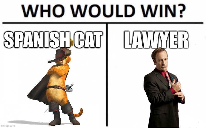 Who Would Win? | SPANISH CAT; LAWYER | image tagged in memes,who would win | made w/ Imgflip meme maker