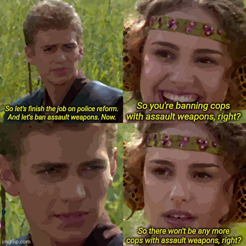 Anakin Padme 4 Panel | So you're banning cops with assault weapons, right? So let's finish the job on police reform.
And let's ban assault weapons. Now. So there won't be any more cops with assault weapons, right? | image tagged in anakin padme 4 panel | made w/ Imgflip meme maker