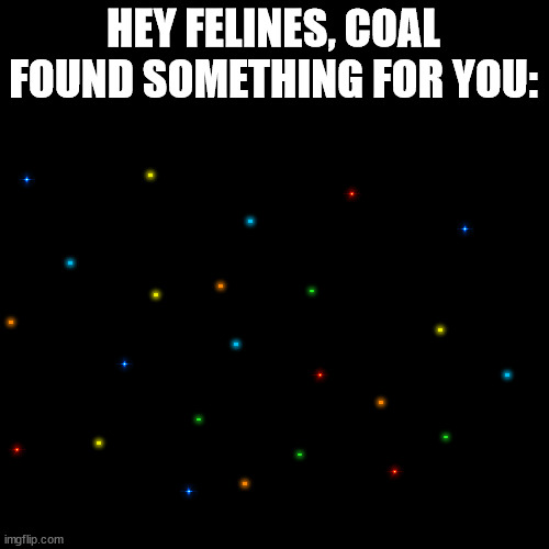 Black Square | HEY FELINES, COAL FOUND SOMETHING FOR YOU:; . . . . . . . . . . . . . . . . | image tagged in black square | made w/ Imgflip meme maker