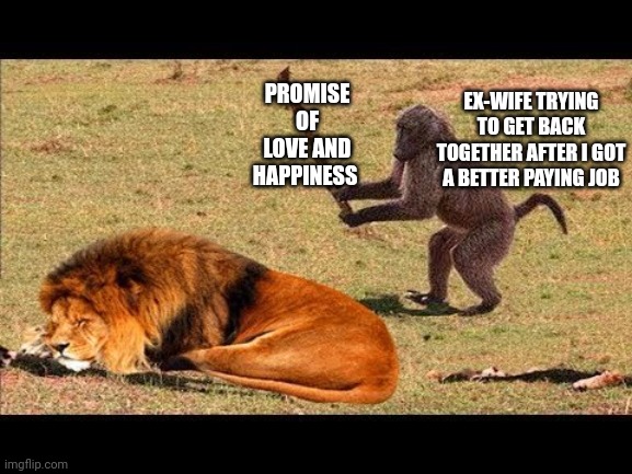 monkey hit lion tree | PROMISE OF LOVE AND HAPPINESS; EX-WIFE TRYING TO GET BACK TOGETHER AFTER I GOT A BETTER PAYING JOB | image tagged in monkey hit lion tree | made w/ Imgflip meme maker