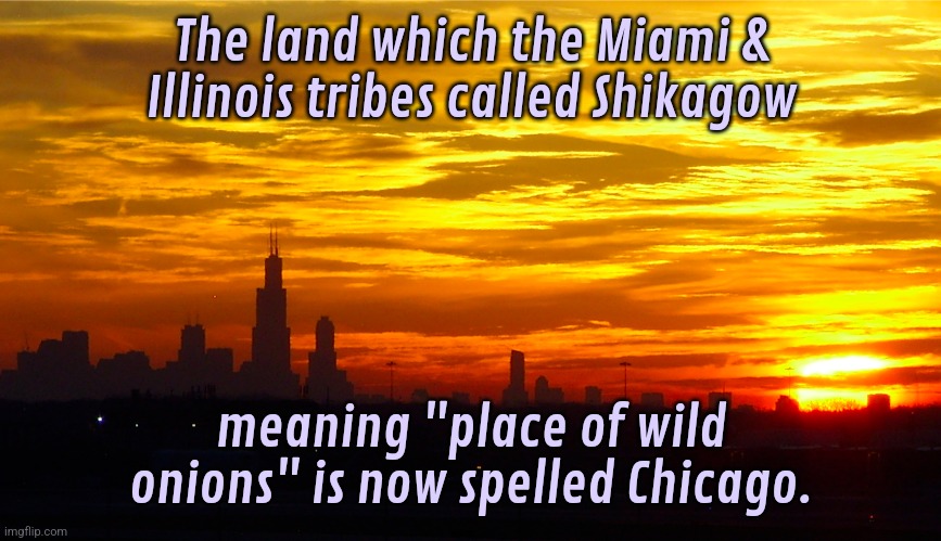 There used to be bears. | The land which the Miami & Illinois tribes called Shikagow; meaning "place of wild onions" is now spelled Chicago. | image tagged in chicago sunrise,history,native american | made w/ Imgflip meme maker