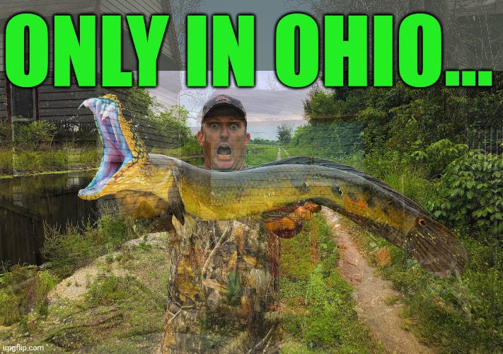 ONLY IN OHIO... | made w/ Imgflip meme maker
