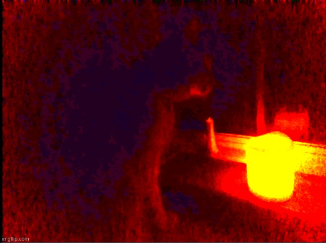 Cat with candle | image tagged in cat with candle | made w/ Imgflip meme maker