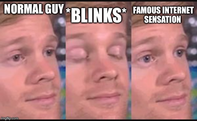 Why is this meme so popular | *BLINKS*; FAMOUS INTERNET SENSATION; NORMAL GUY | image tagged in blinking guy,funny,memes,white guy blinking | made w/ Imgflip meme maker