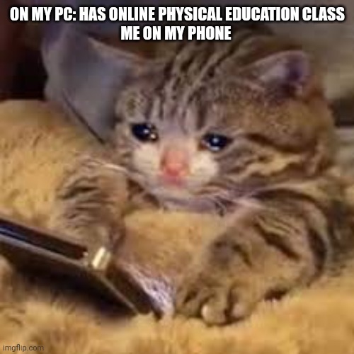 I really have right now physical education online class | ON MY PC: HAS ONLINE PHYSICAL EDUCATION CLASS
ME ON MY PHONE | image tagged in sad cat on phone,school,bored,boredom,imgflip,wtf | made w/ Imgflip meme maker