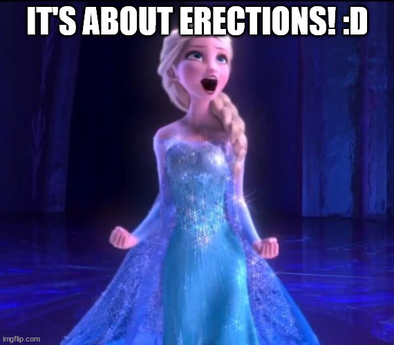 Let it go | IT'S ABOUT ERECTIONS! :D | image tagged in let it go | made w/ Imgflip meme maker