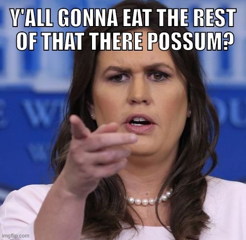 no sense lettin' good road kill go to waste... the lard'll pervide... | image tagged in sarah huckabee sanders,road,kill,lazy,eye of sauron,what a terrible day to have eyes | made w/ Imgflip meme maker