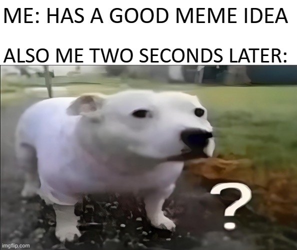 what was I going to put as the title again? | ME: HAS A GOOD MEME IDEA; ALSO ME TWO SECONDS LATER: | image tagged in funny,memes,funny memes,huh,dog,just a tag | made w/ Imgflip meme maker