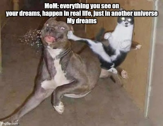 I don't want to imagine | MoM: everything you see on your dreams, happen in real life, just in another universe
My dreams | image tagged in get rekt,dream,dreams,weird,multiverse,dreaming | made w/ Imgflip meme maker