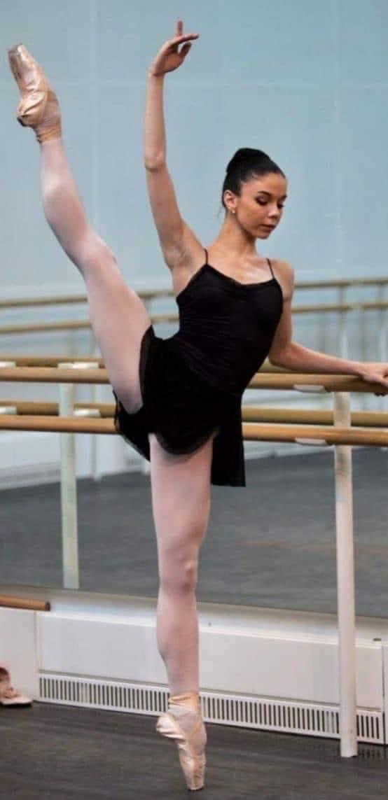 Natalia Osipova Blank Meme Template