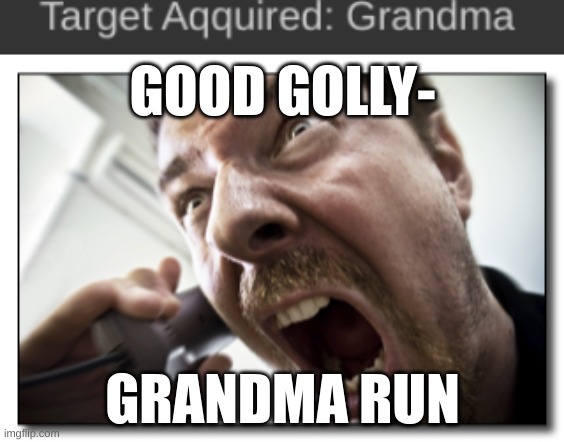 RUN GRANDMA RUN | GOOD GOLLY-; GRANDMA RUN | image tagged in memes,shouter | made w/ Imgflip meme maker